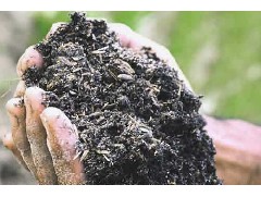 肥料和有机肥料有哪些种类？